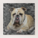 Search for dog breeds puzzles Pet