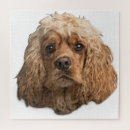 Search for cocker spaniel puzzles Cute