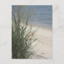 Search for feet postcards Photography