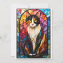 Search for calico cat cards Black