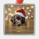 Search for labrador retriever christmas tree decorations Pet