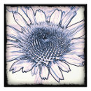 Search for coneflowers art Blossom