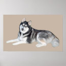 Search for siberian husky puppy posters Puppies