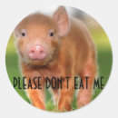 Search for small mammals stickers Pets