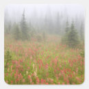 Search for canada travel stickers National park
