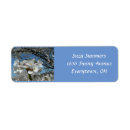 Search for blossoms return address labels Summer