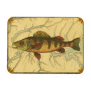 Search for fish magnets River