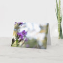 Search for photography cards Summer