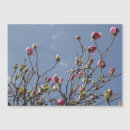 Search for spring bud cards Tree