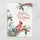 Search for red cardinal bird cards Foliage