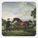 Search for stallions stickers Wild