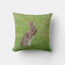 Search for rabbit cushions Wildlife