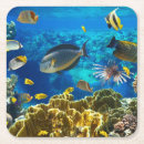Search for tropical reef coasters Fish