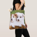 Search for behavioural bags Horizontal