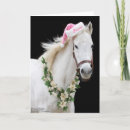 Search for racehorse cards Thoroughbred