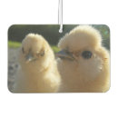 Search for chicken car air fresheners Poultry
