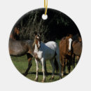 Search for wild one christmas tree decorations Mustang