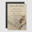 Search for owls save the dates Bird