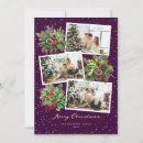 Search for pine cone christmas cards Botanical