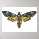 Search for skull head posters Moth