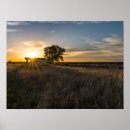 Search for granada posters Sunset