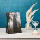 Search for coast plaques Forest