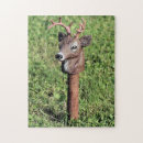 Search for deer puzzles Animal