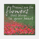 Search for poppies magnets Field of flowers