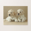 Search for golden retriever puppy puzzles Babies