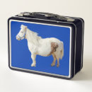 Search for horse lunch boxes Cute