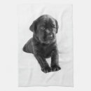 Search for labrador tea towels Animals