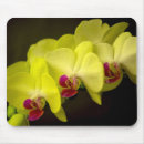 Search for orchids mousepads Yellow