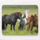 Search for danita delimont mousepads Ranch