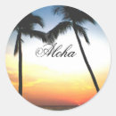 Search for hawaii travel stickers Palm trees
