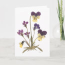 Search for pressed Flower