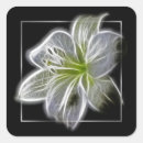 Search for fractal art stickers Beautiful