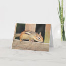 Search for chipmunk birthday cards Wildlife