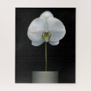 Search for orchid puzzles Bloom
