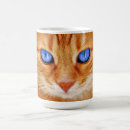 Search for tiger cats mugs Kitten