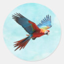 Search for general stickers Colourful