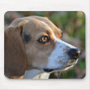 Search for beagle mousepads Hound