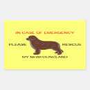 Search for fire safety stickers Dog