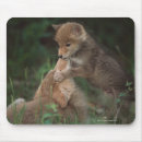 Search for coyote mousepads Horizontal