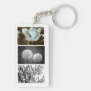 Search for chains photography Flowers