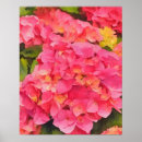 Search for hydrangea art Garden