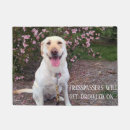 Search for labrador dog garden decor Cute
