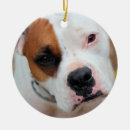Search for white boxer dog christmas tree decorations Cute