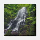 Search for fall fairy magnets Forest
