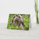 Search for grounded cards Wood chuck