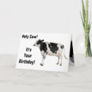 Search for holy cow birthday cards Cows